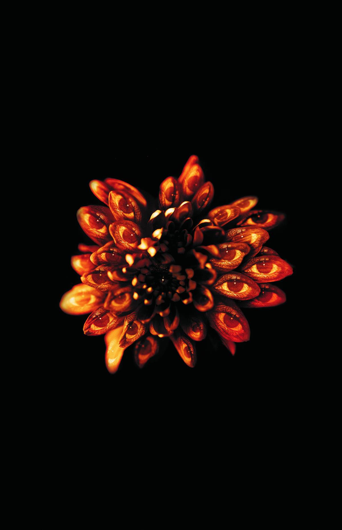 ANNOTATED SANDMAN HC VOL 03