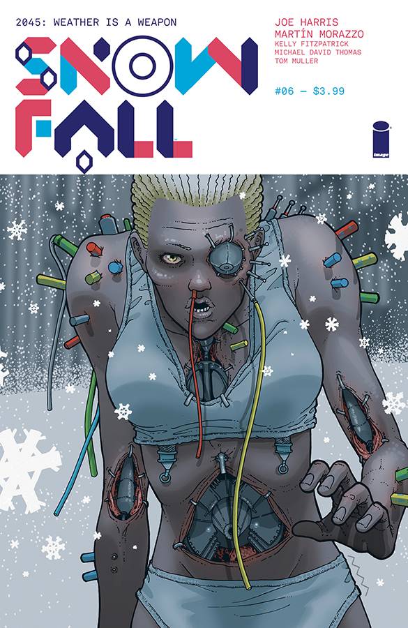 SNOWFALL #6