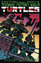TMNT COLOR CLASSICS TP VOL 01