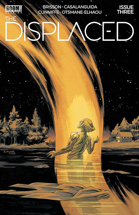 DISPLACED (2024) #3 CVR B SHALVEY