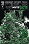 TEENAGE MUTANT NINJA TURTLES BLACK WHITE & GREEN (2024) #1 CVR B STOKOE