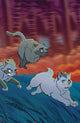 FERAL (2024) #5 CVR C 10 COPY INCV FLEECS & FORSTNER VAR