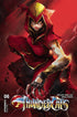 THUNDERCATS (2024) #6 CVR E TAO