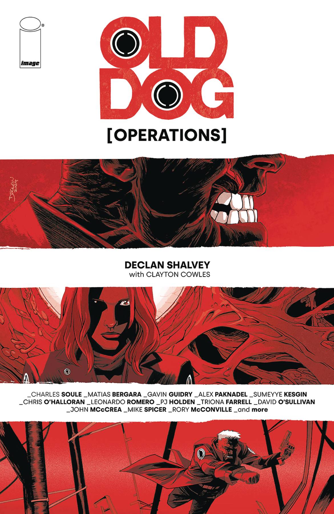 OLD DOG OPERATIONS (2024) #1 (ONE-SHOT) CVR A SHALVEY