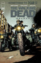 WALKING DEAD DELUXE (2020) #97 CVR A FINCH & MCCAIG