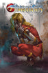 THUNDERCATS (2024) #8 CVR B PARRILLO