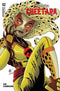 THUNDERCATS CHEETARA (2024) #2 CVR O FOC HAESER CATWOMAN #1 HOMAGE VAR