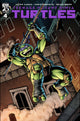 TEENAGE MUTANT NINJA TURTLES (2024) #4 CVR G 50 COPY ROBERTSON INCV VAR