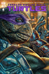 TEENAGE MUTANT NINJA TURTLES (2024) #4 CVR H 75 COPY BERMEJO INCV VAR