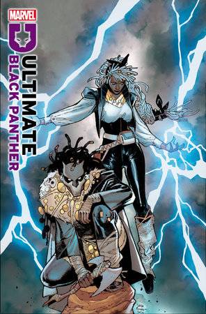 ULTIMATE BLACK PANTHER (2024) #11 25 COPY INCV SARA PICHELLI VAR