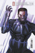 ULTIMATE BLACK PANTHER (2024) #12 25 COPY INCV STEPHANIE HANS VAR