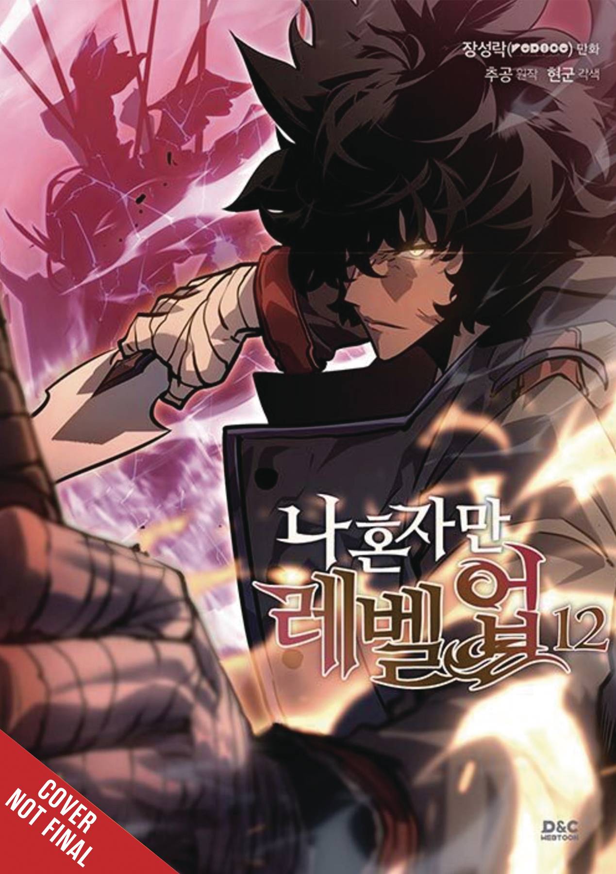 SOLO LEVELING TP VOL 12