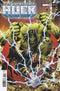 INCREDIBLE HULK (2023) #25 25 COPY INCV PAULO SIQUEIRA VAR