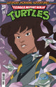 TMNT SATURDAY MORNING ADVENTURES CONTINUED (2023) #26 CVR A SCHOENING