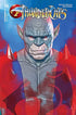 THUNDERCATS (2024) #14 CVR X FOC BONUS SPEARS FOIL