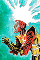FURY OF FIRESTORM (2026) #1 CVR G INC 1:25 JEFF LEMIRE CARD STOCK VAR