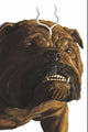 JEFF THE LAND SHARK SUPERSTAR (2026) #3 ALEX ROSS TIMELESS VIRGIN VAR