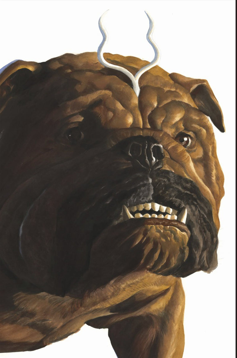 JEFF THE LAND SHARK SUPERSTAR (2026) #3 ALEX ROSS TIMELESS VIRGIN VAR