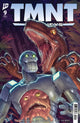 TEENAGE MUTANT NINJA TURTLES JOURNEYS (2025) #9 CVR B PE