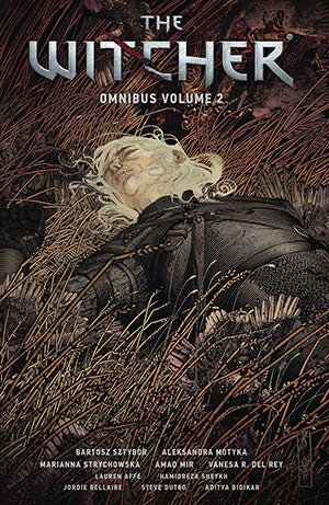 *DAMAGED* WITCHER OMNIBUS TP VOL 02