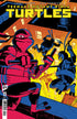 TEENAGE MUTANT NINJA TURTLES (2024) #11 CVR D RODRIGUEZ