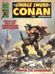 SAVAGE SWORD OF CONAN (1974) #10 (VF/NM)