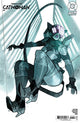 ABSOLUTE CATWOMAN (2026) #2 CVR E INC 1:25 ERIC CANETE CARD STOCK VAR