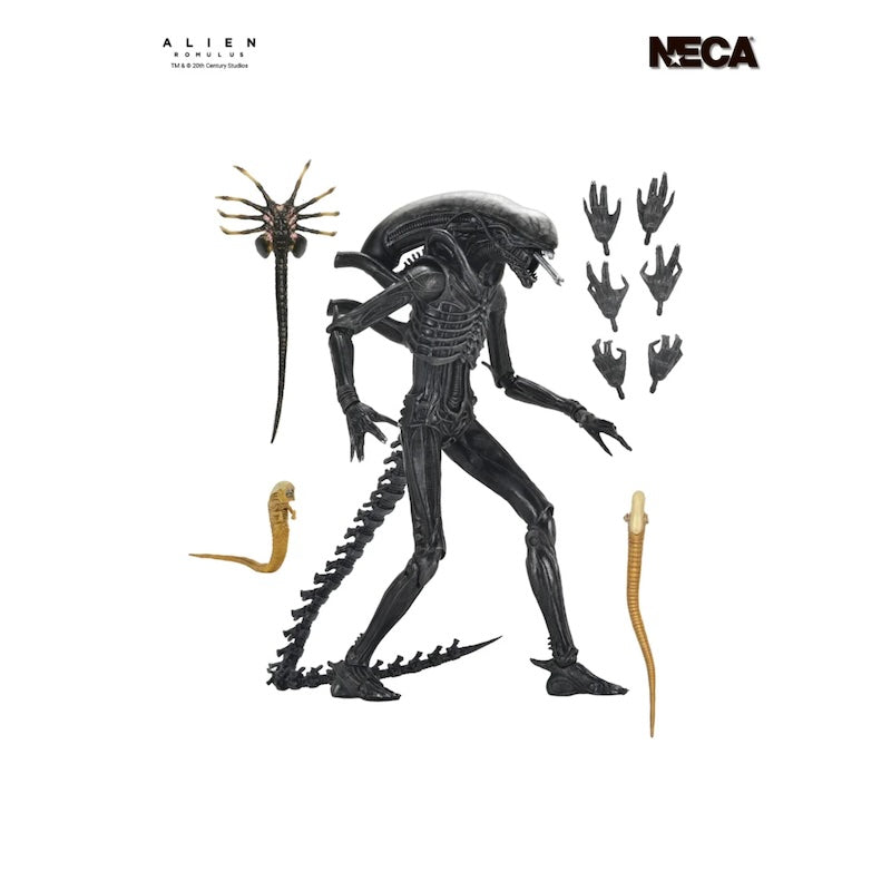 ALIEN ROMULUS XENOMORPH XX121 ULTIMATE 7IN AF