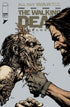 WALKING DEAD DELUXE (2020) #124 CVR A DAVID FINCH & DAVE MCCAIG