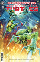 TEENAGE MUTANT NINJA TURTLES (2024) #21 CVR D COELLO