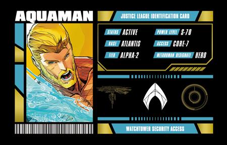 JUSTICE LEAGUE MEMBERSHIP CARDS - SET OF 7