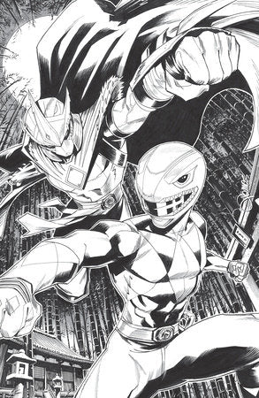 MMPR TMNT III (2025) #2 CVR E 1:10 INCV ZONNO VAR