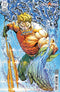 AQUAMAN (2025) #5 CVR E INC 1:25 MARIO FOCCILLO CARD STOCK VAR