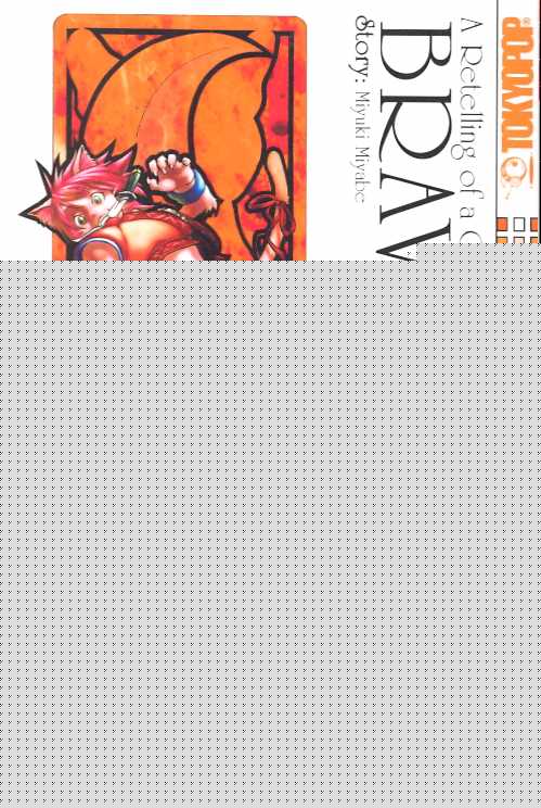 BRAVE STORY VOL 05 GN