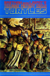 TEENAGE MUTANT NINJA TURTLES (1984) #35