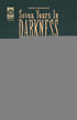 SEVEN YEARS IN DARKNESS YEAR THREE (2025) #2 CVR A JOSEPH SCHMALKE DAVID THE WOLF