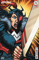 ABSOLUTE WONDER WOMAN (2024) #24 CVR C CHRIS BURNHAM CARD STOCK VAR