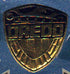 2000 AD (1977) #300 - BADGE INCLUDED (VF)