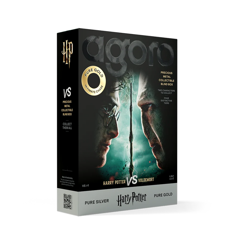 HARRY POTTER VS VOLDEMORT 5g SILVER FOIL BLIND BOX