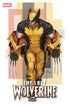LAST WOLVERINE(2025) #2 INHYUK LEE STREET-VERSE VAR [AOR]