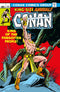 CONAN THE BARBARIAN THE ORIGINAL COMICS OMNIBUS HC VOL 05 DIRECT MARKET EDITION