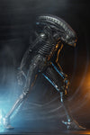 ALIENS 40TH ANNIVERSARY BIG CHAP 1/4 SCALE AF