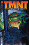 TEENAGE MUTANT NINJA TURTLES JOURNEYS (2025) #3 CVR A DOONEY & LAWSON
