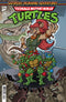TMNT SATURDAY MORNING ADVENTURES CONTINUED (2023) #29 CVR C CONDE
