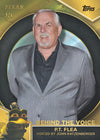 2025 TOPPS PIXAR GOLD HOBBY BOX