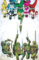 MMPR TMNT III (2025) #1 CVR J 1:50 INCV SHALVEY VAR