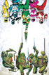 MMPR TMNT III (2025) #1 CVR J 1:50 INCV SHALVEY VAR
