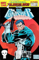 PUNISHER (1988) ANNUAL #5 (VF)