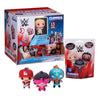 WWE SUPERSTARS CLIPPIES MYSTERY BAG TAGS