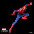 MARVEL LEGENDS SERIES THE AMAZING SPIDER-MAN AF